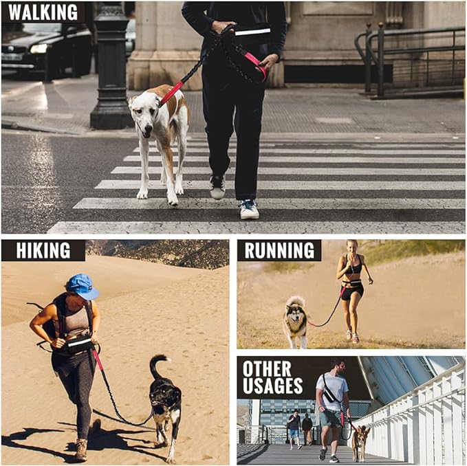 Hands-Free Dog Leash with Shock-Absorbing Bungee – Reflective Waist Leash for Running, Walking & Hiking