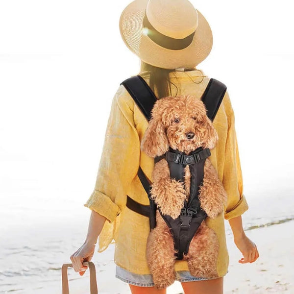 Comfortable Waterproof Pet Carrier Cockpit for Dogs and Cats