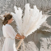 Natural Dried Pampas Grass | Boho Wall Decor & Floral Arrangement