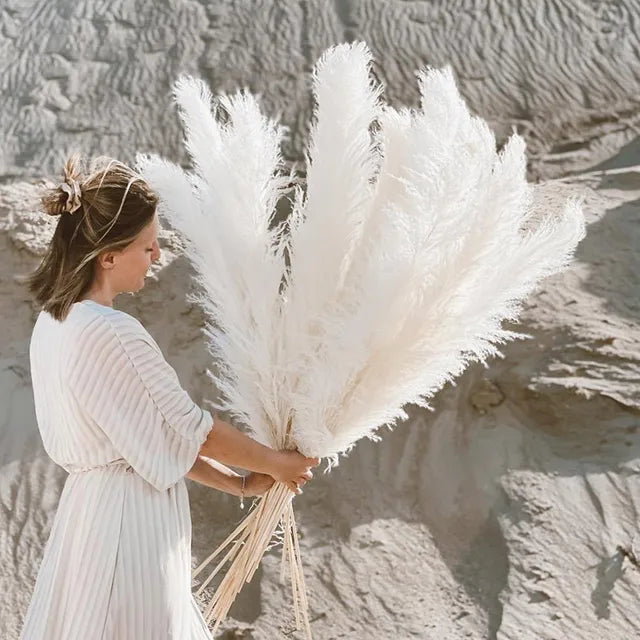 Natural Dried Pampas Grass | Boho Wall Decor & Floral Arrangement