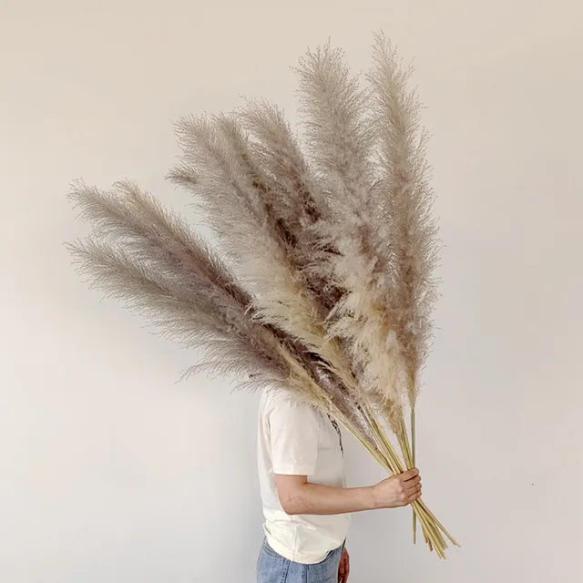 Natural Dried Pampas Grass | Boho Wall Decor & Floral Arrangement