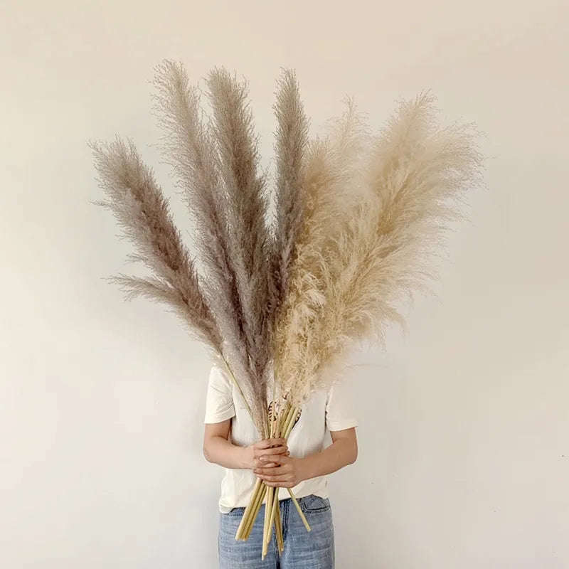 Natural Dried Pampas Grass | Boho Wall Decor & Floral Arrangement