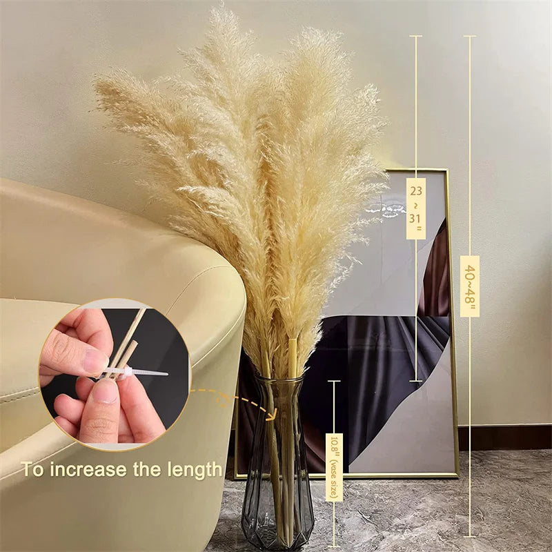 Natural Dried Pampas Grass | Boho Wall Decor & Floral Arrangement