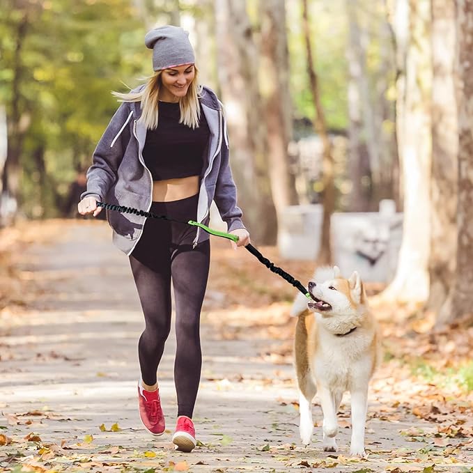 Hands-Free Dog Leash with Shock-Absorbing Bungee – Reflective Waist Leash for Running, Walking & Hiking