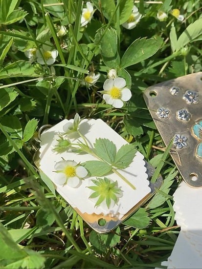 Portable Mini Flower Press and Botanical Keepsake Maker for Crafting