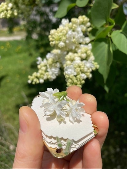 Portable Mini Flower Press and Botanical Keepsake Maker for Crafting