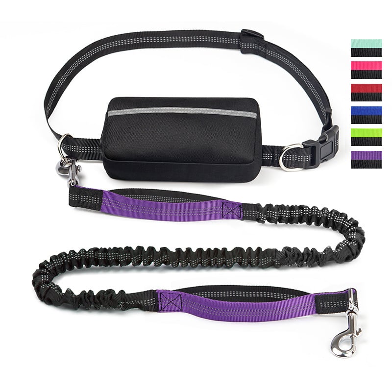 Hands-Free Dog Leash with Shock-Absorbing Bungee – Reflective Waist Leash for Running, Walking & Hiking