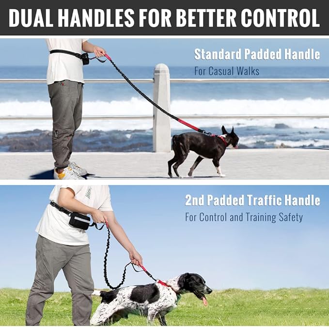 Hands-Free Dog Leash with Shock-Absorbing Bungee – Reflective Waist Leash for Running, Walking & Hiking