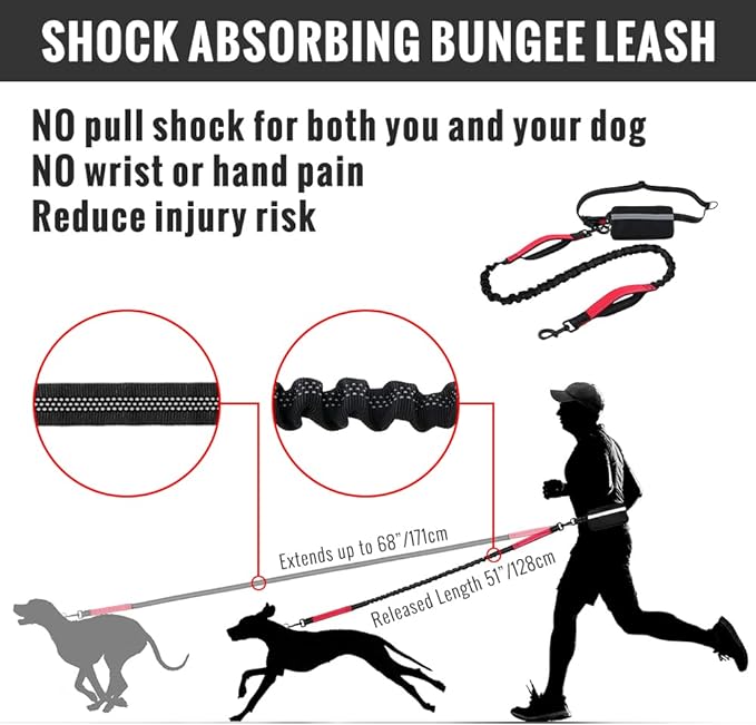 Hands-Free Dog Leash with Shock-Absorbing Bungee – Reflective Waist Leash for Running, Walking & Hiking