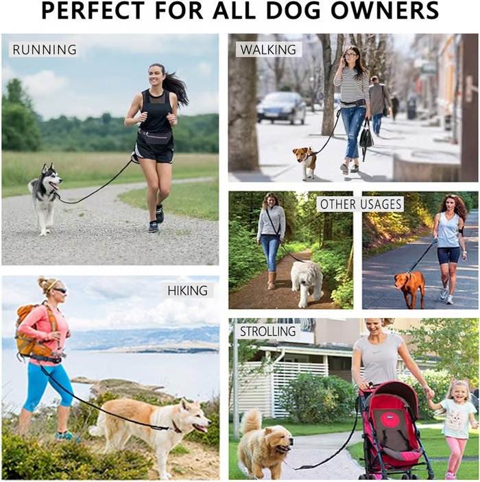 Hands-Free Dog Leash with Shock-Absorbing Bungee – Reflective Waist Leash for Running, Walking & Hiking