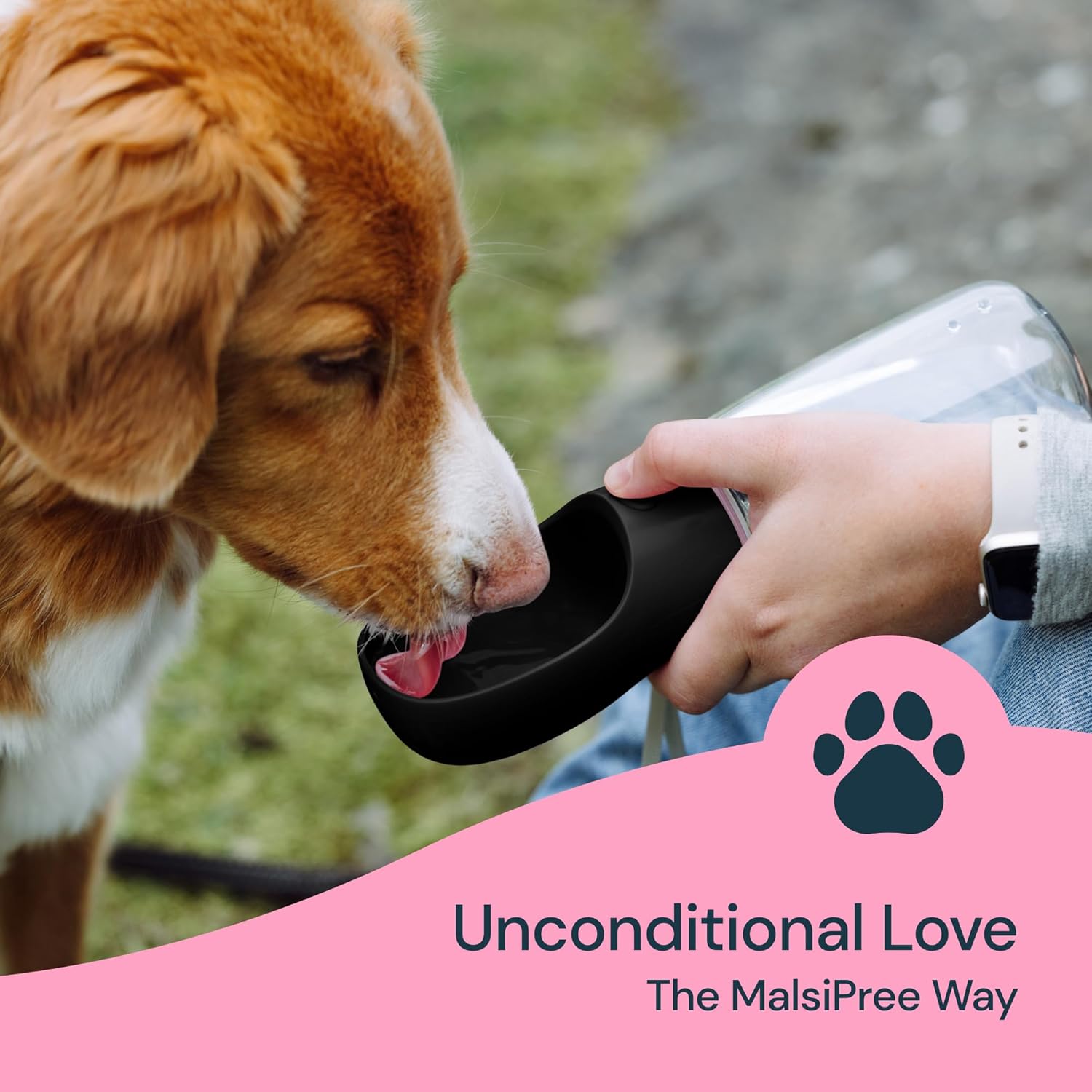 Portable Dog Water Bottle with Built-In Leak-Proof Bowl 19oz