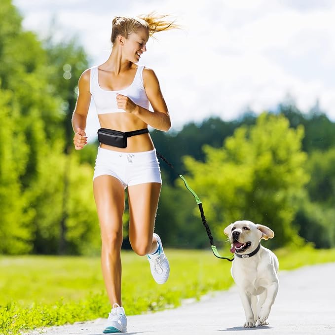 Hands-Free Dog Leash with Shock-Absorbing Bungee – Reflective Waist Leash for Running, Walking & Hiking