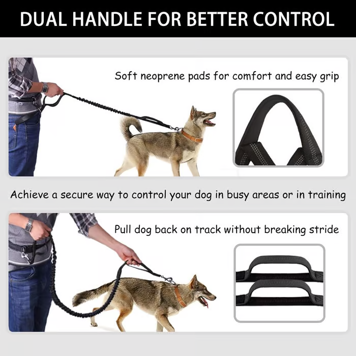 Hands-Free Dog Leash with Shock-Absorbing Bungee – Reflective Waist Leash for Running, Walking & Hiking