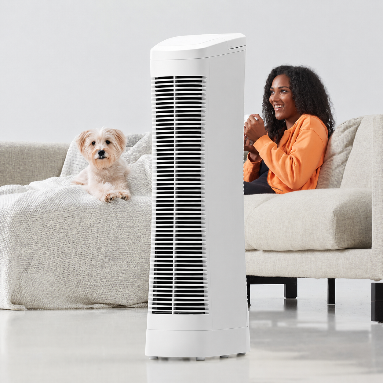 Ionic air purifier with fan