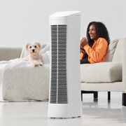 Ionic air purifier with fan
