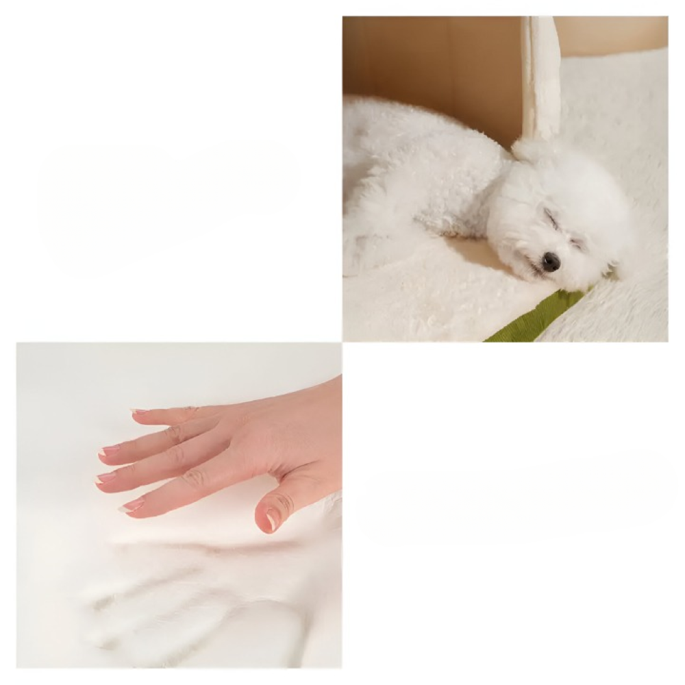 Covered Cat Bed Tent | 2-in-1 Small Dog Cave & Indoor Pet House