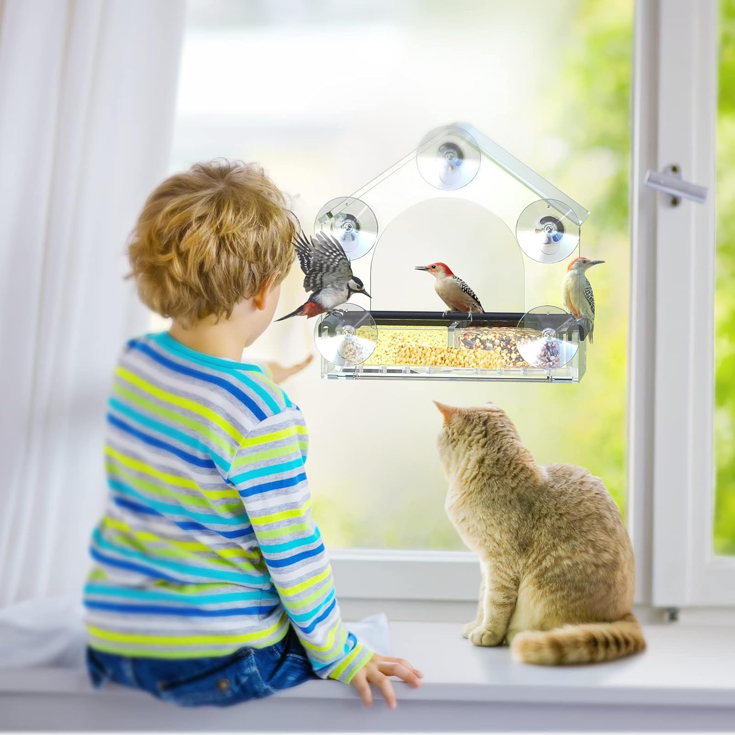 ClearView | Sturdy Modern Acrylic Window Bird Feeder for Nature Watching