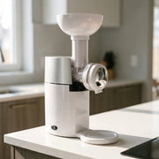 Frozen fruit dessert maker on a kitchen counter