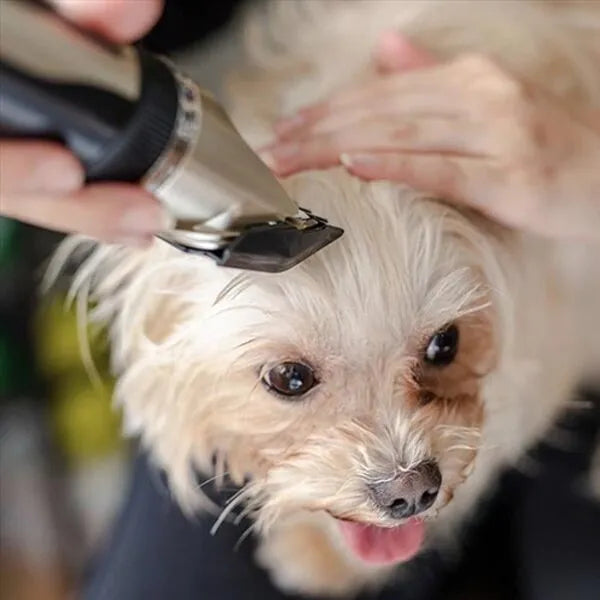 Silent Dog Grooming Clippers | Low Noise Pet Coat Trimmer & Hair Kit