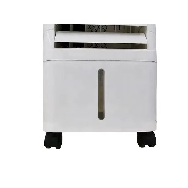 Air cooler in living room