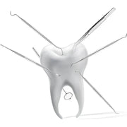 Stainless Steel Dental Pick & Scraper Set for Home Oral Care – Precision Plaque & Tartar Cleaning Tools