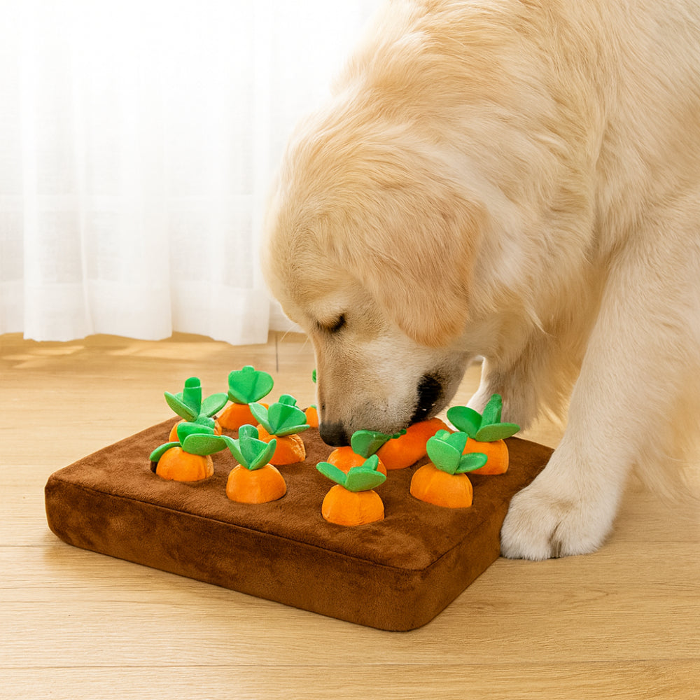 Interactive Dog Snuffle Mat with Forage Design – Mental Stimulation Treat Puzzle for Dogs of All Sizes