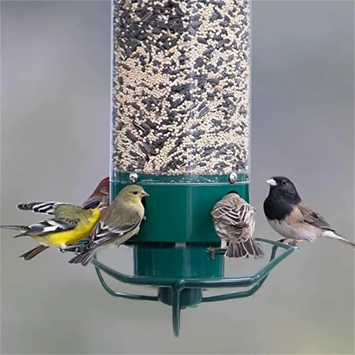 AvianGuard | Heavy-Duty Predator-Proof Bird Feeder with Metal Cage Design