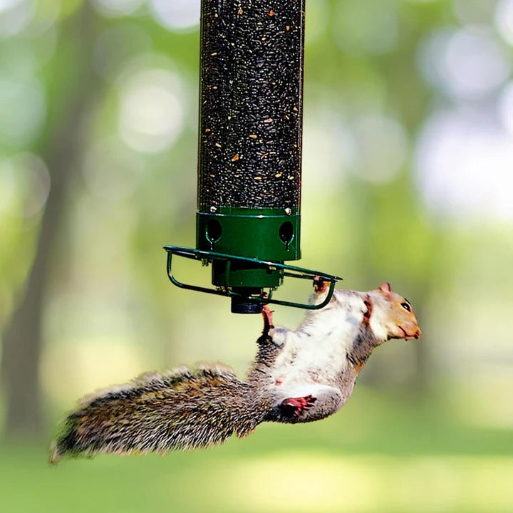AvianGuard | Heavy-Duty Predator-Proof Bird Feeder with Metal Cage Design