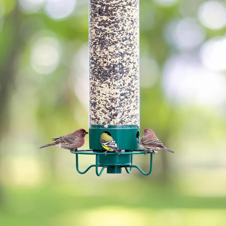 AvianGuard | Heavy-Duty Predator-Proof Bird Feeder with Metal Cage Design