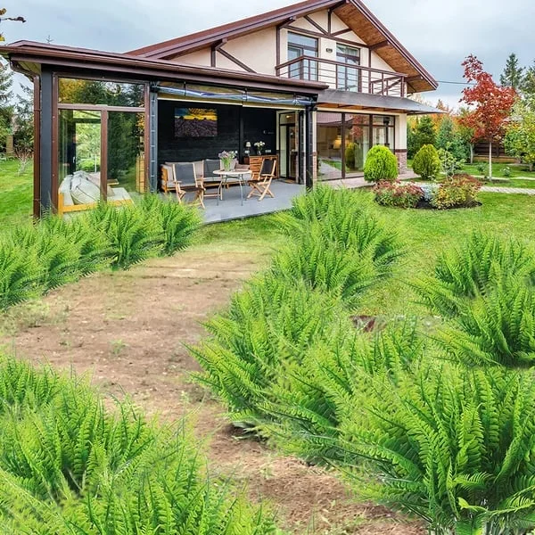 UV-Resistant Faux Boston Fern | Artificial Outdoor Patio Plant