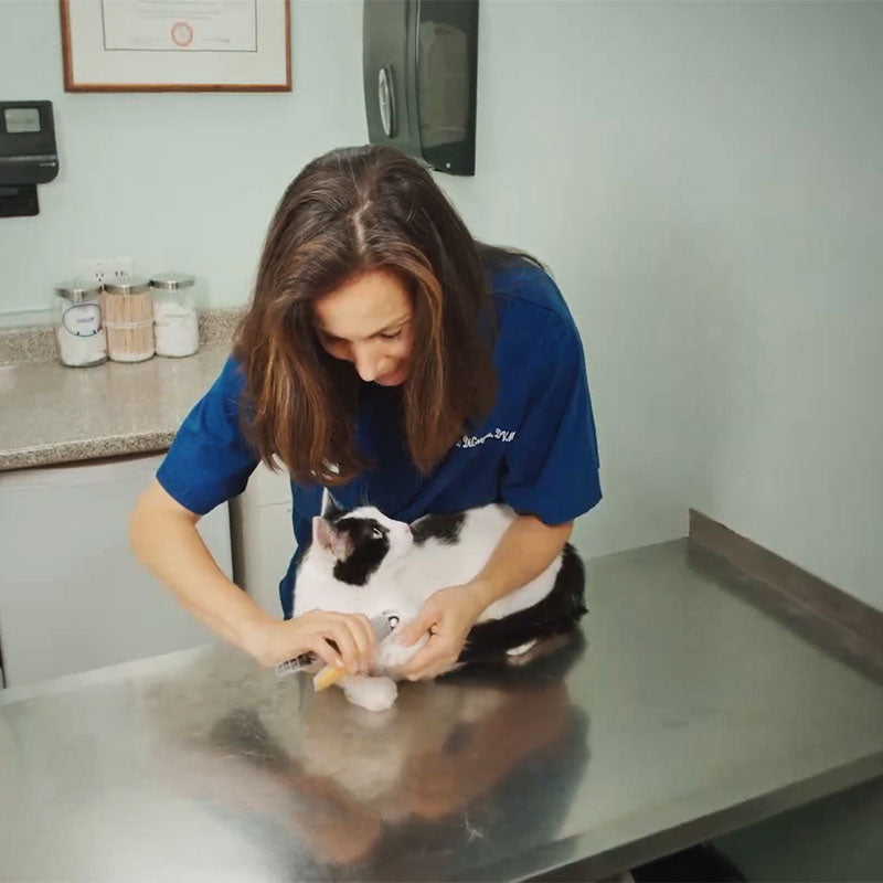 Dog & Cat Nail Clippers | Professional Safety Guard Claw Trimmer
