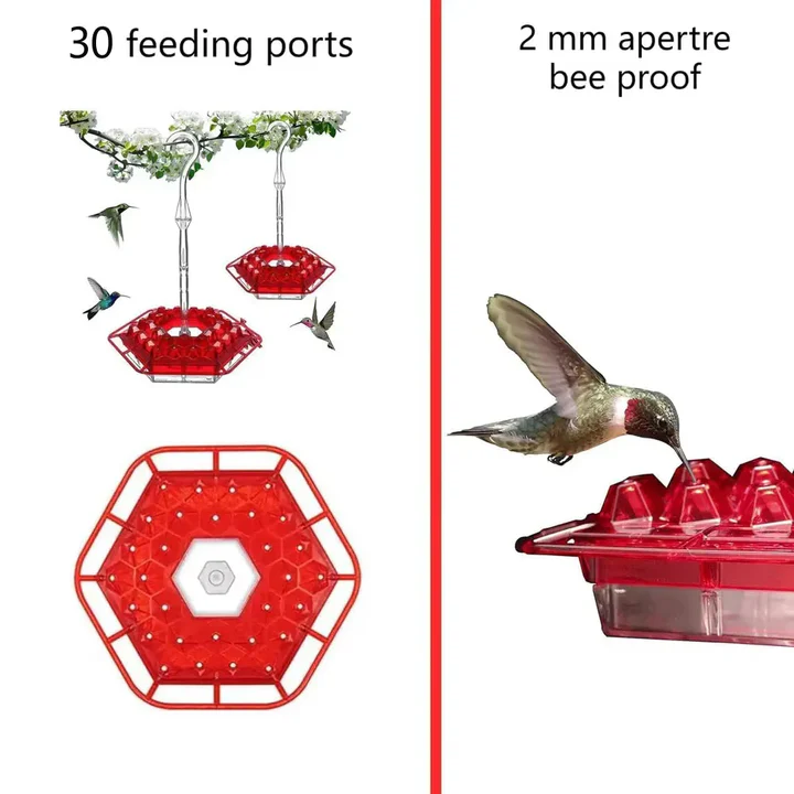 Ant-Proof Hummingbird Feeder with Perch – Leak-Free Hanging Nectar Feeder with Built-In Ant Moat