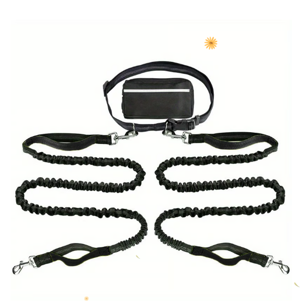 Hands-Free Dog Leash with Shock-Absorbing Bungee – Reflective Waist Leash for Running, Walking & Hiking