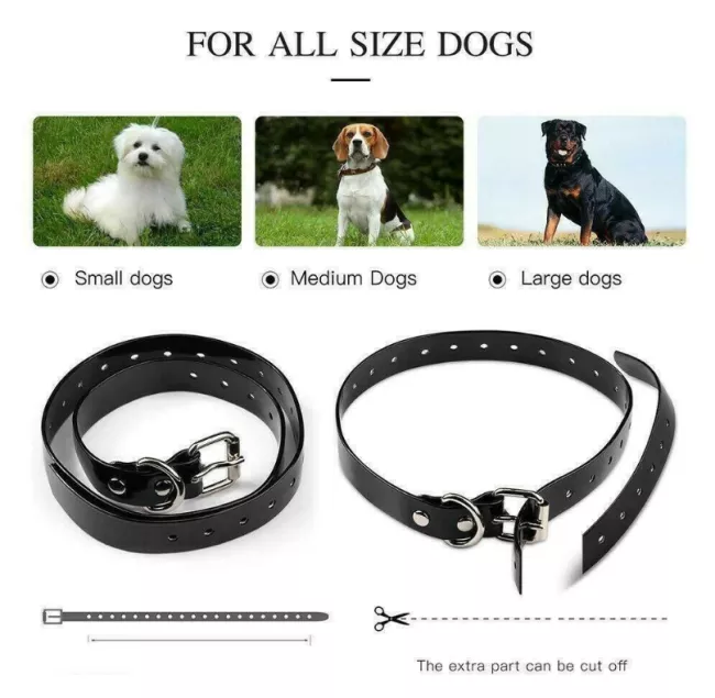 GuardianK9 | Wireless Electric Dog Fence With Training Shock Collar