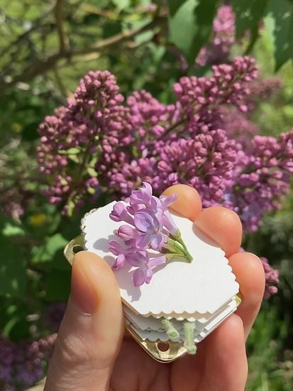 Portable Mini Flower Press and Botanical Keepsake Maker for Crafting