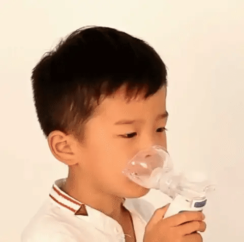 Portable Ultrasonic Nebulizer | Rechargeable Travel Breathing Machine