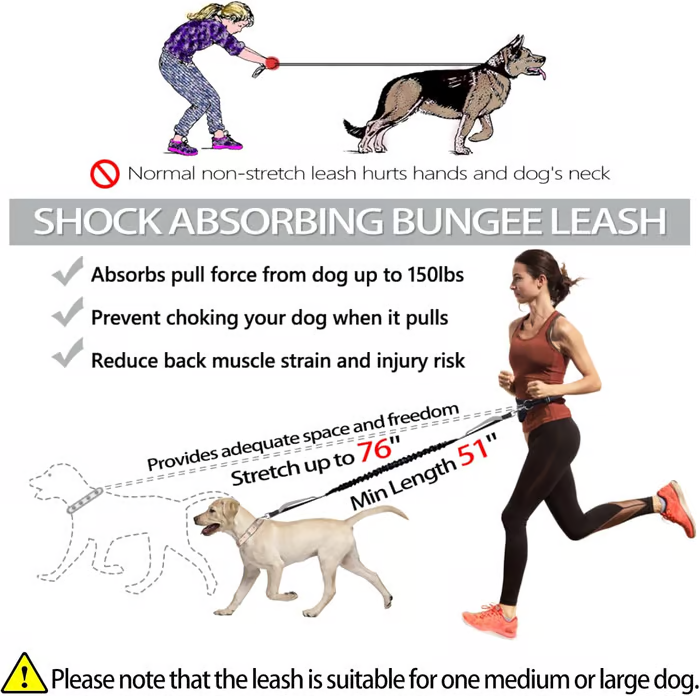 Hands-Free Dog Leash with Shock-Absorbing Bungee – Reflective Waist Leash for Running, Walking & Hiking