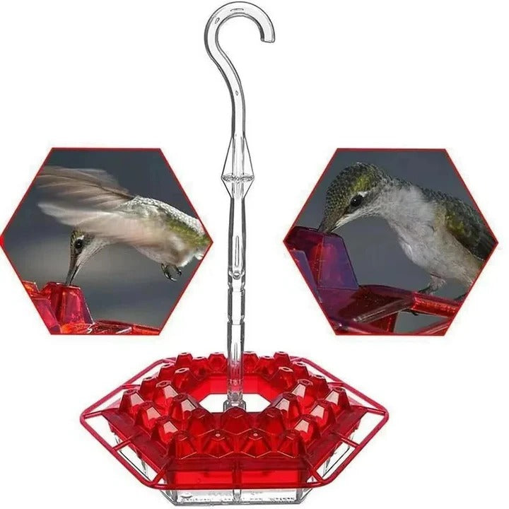 Ant-Proof Hummingbird Feeder with Perch – Leak-Free Hanging Nectar Feeder with Built-In Ant Moat