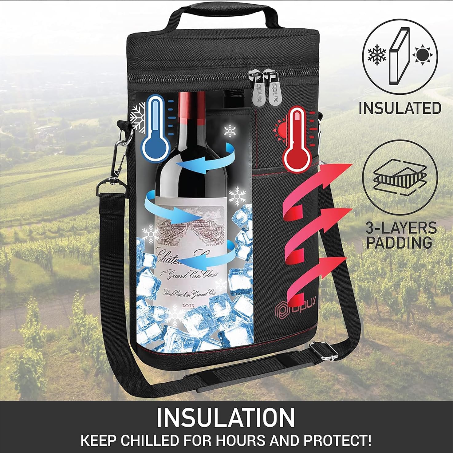 Insulated Wine Carrier Bag | Travel & Picnic Cooler Tote (2 Bottle)