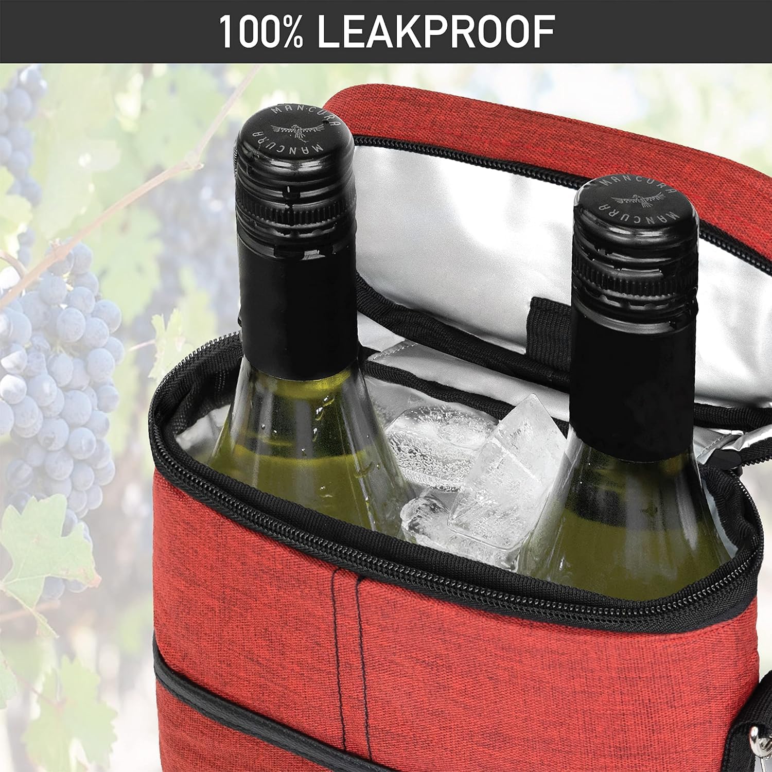 Insulated Wine Carrier Bag | Travel & Picnic Cooler Tote (2 Bottle)