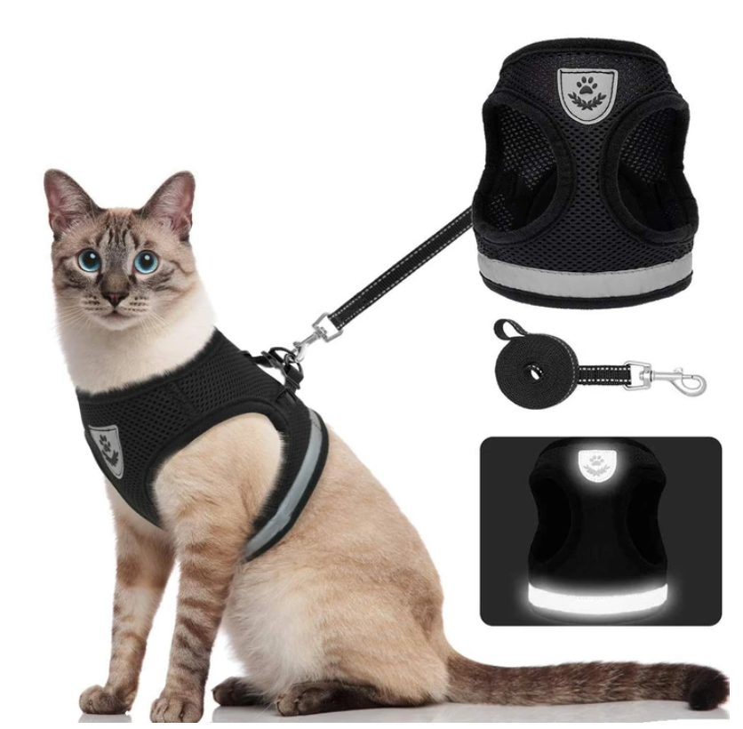 Adjustable Cat Harness & Leash Set for Outdoor Walks – Comfortable Escape-Resistant Harness for Safe Training