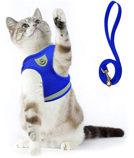 Adjustable Cat Harness & Leash Set for Outdoor Walks – Comfortable Escape-Resistant Harness for Safe Training