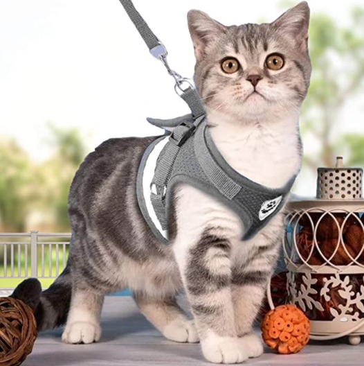 Adjustable Cat Harness & Leash Set for Outdoor Walks – Comfortable Escape-Resistant Harness for Safe Training