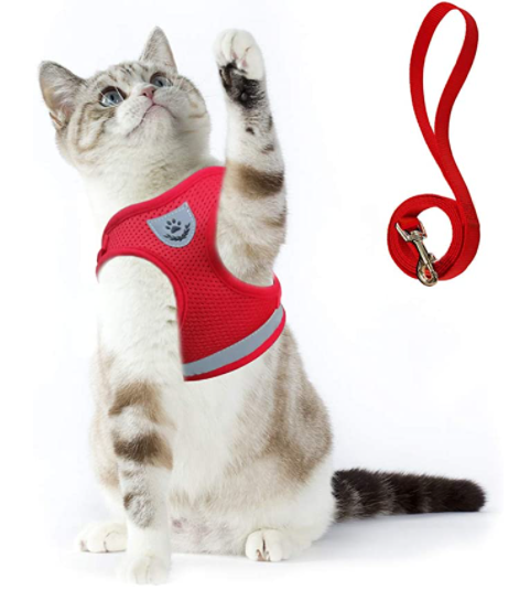 Adjustable Cat Harness & Leash Set for Outdoor Walks – Comfortable Escape-Resistant Harness for Safe Training
