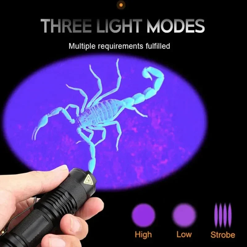 LED UV Flashlight Blacklight | Ultraviolet Pet Urine Stain Detector