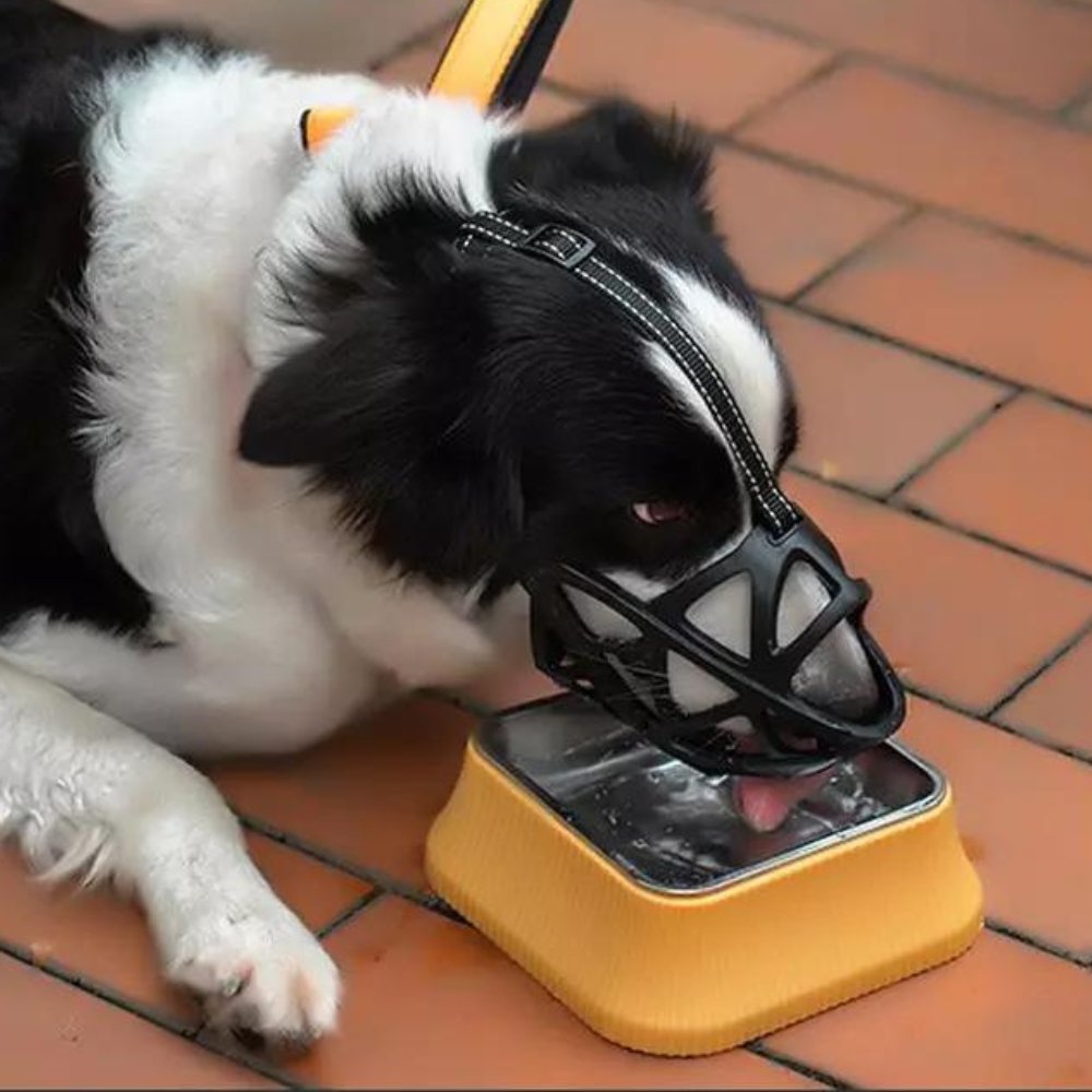 Adjustable Dog Muzzle | Anti-Bite & Anti-Bark Basket Guard
