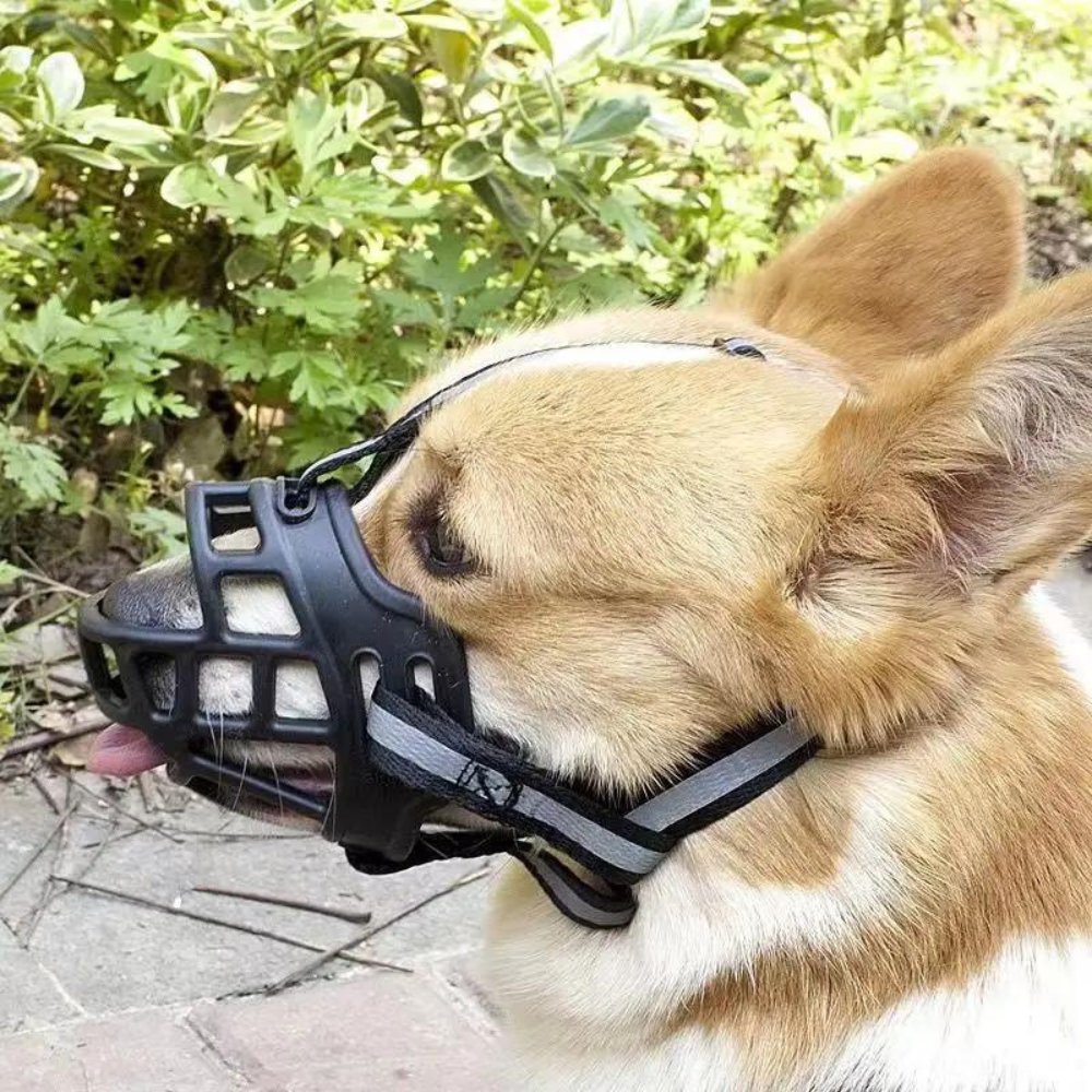 Adjustable Dog Muzzle | Anti-Bite Basket Muzzle for Training