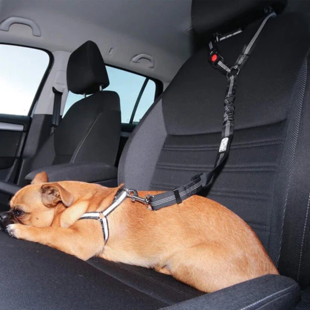 Universal Car Seat Belt Extender | Safety Adapter for Large Person & Child Seat