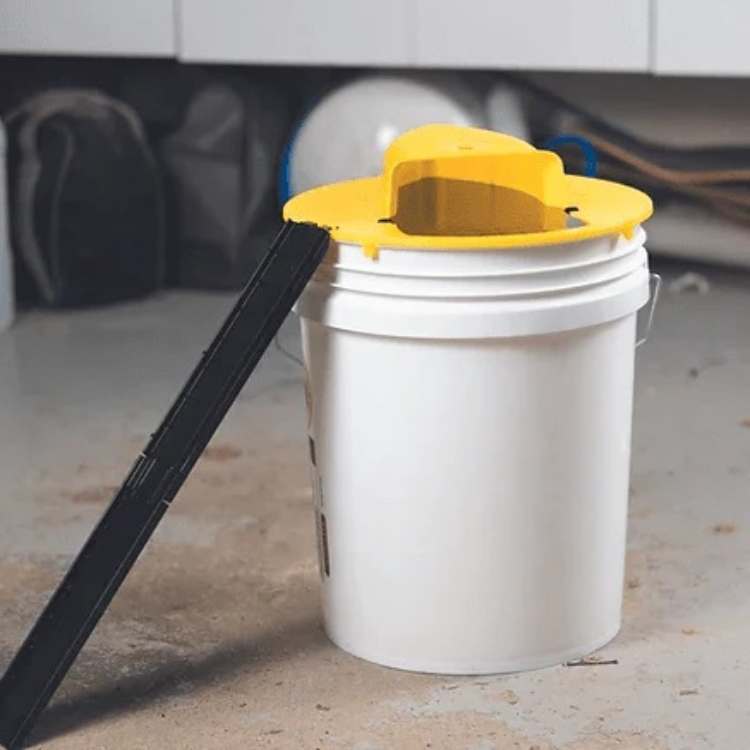 Touchless Multi-Catch Mouse Trap | Pet Safe Indoor Rodent Control