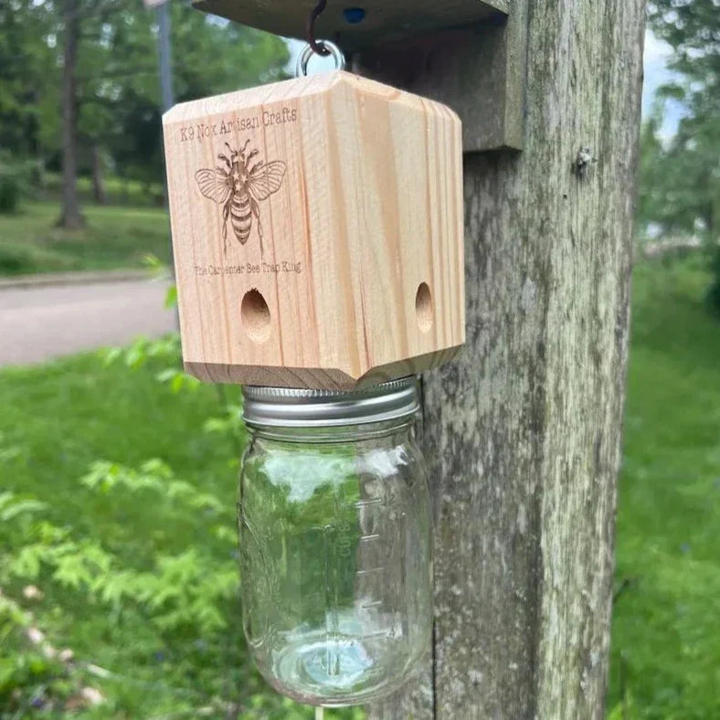 Effective Carpenter Bee Trap for Outdoors – Chemical-Free Wooden Bee Catcher Protecting Decks, Fences & Eaves